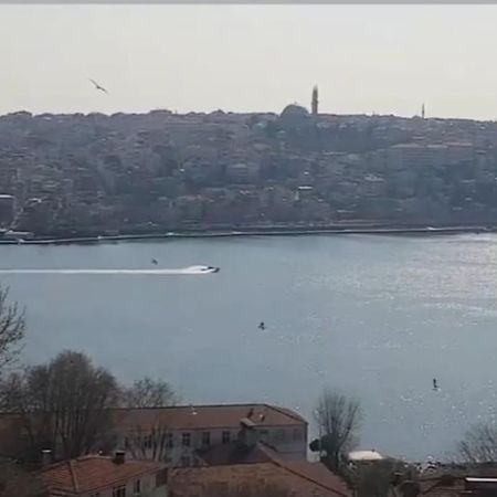 Deniz Manzarasi, Marti Sesleri Esliginde Istanbul Apartamento Exterior foto