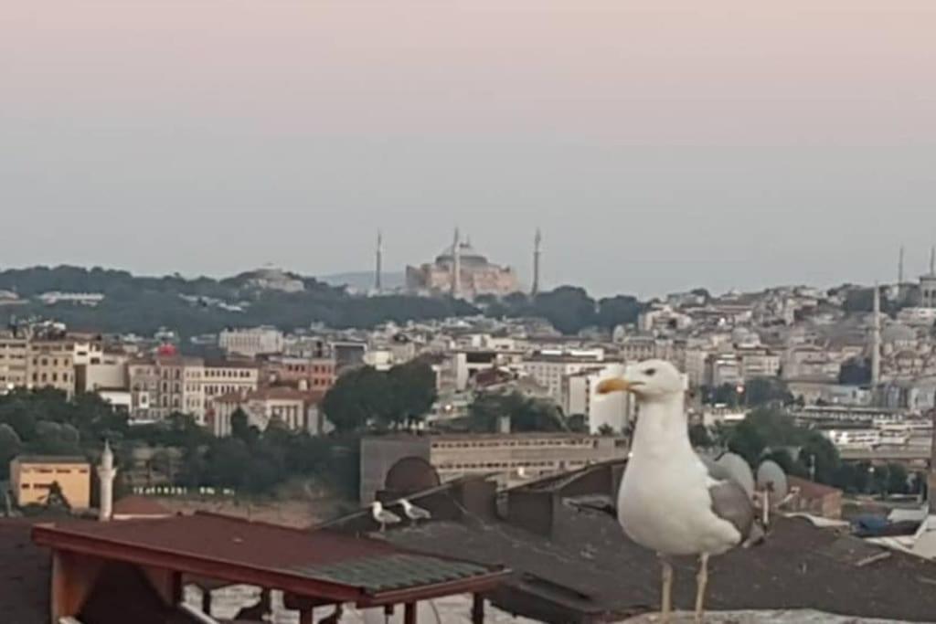 Deniz Manzarasi, Marti Sesleri Esliginde Istanbul Apartamento Exterior foto